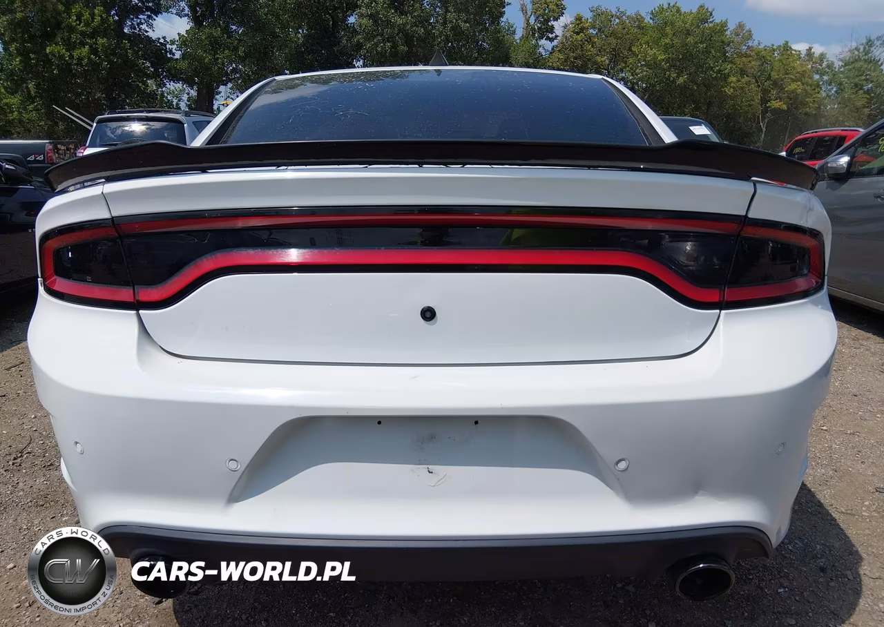 2015 Dodge Charger Police VIN:2C3CDXAT7FH772345 - 16