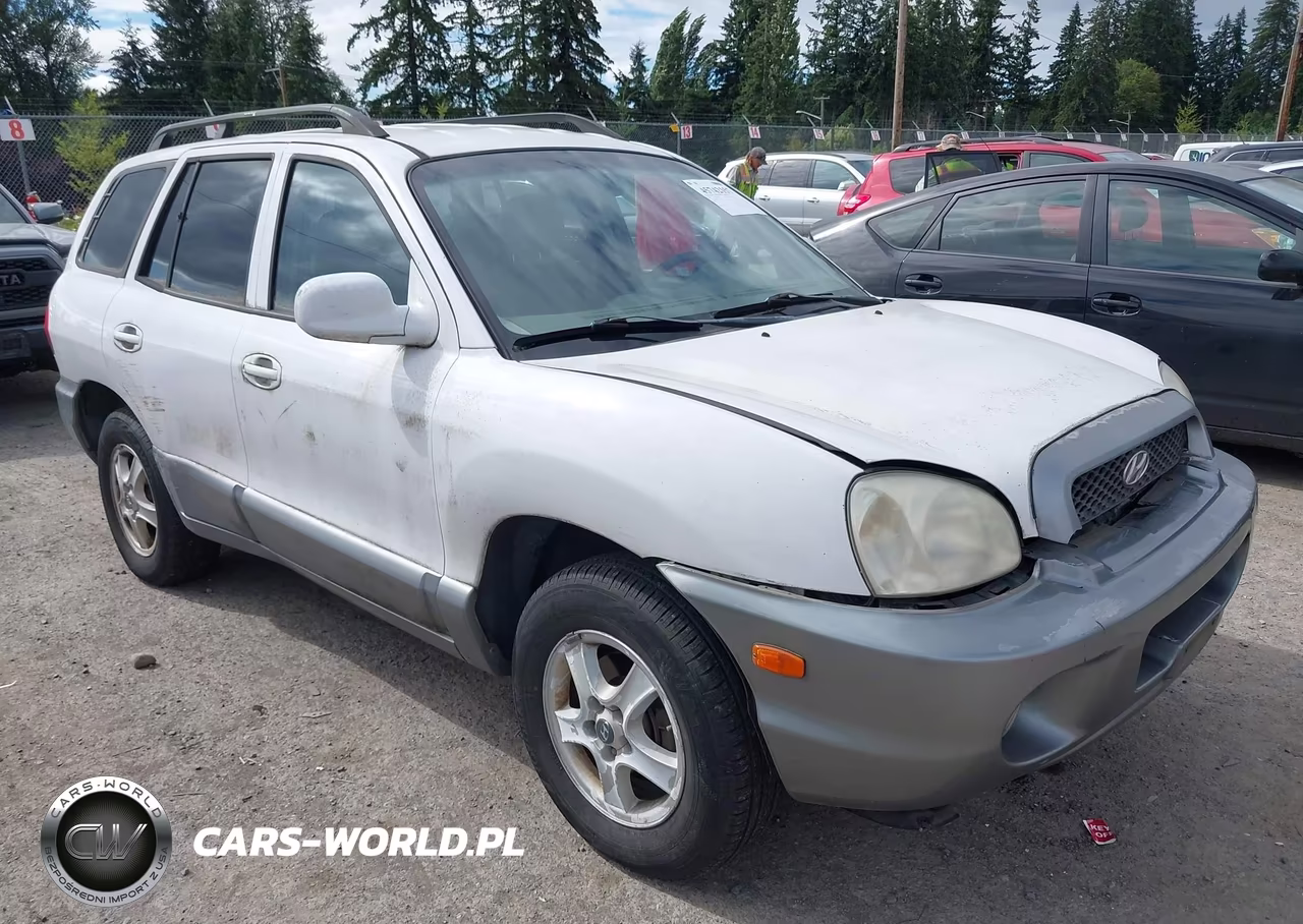 2004 Hyundai Santa Fe Gls