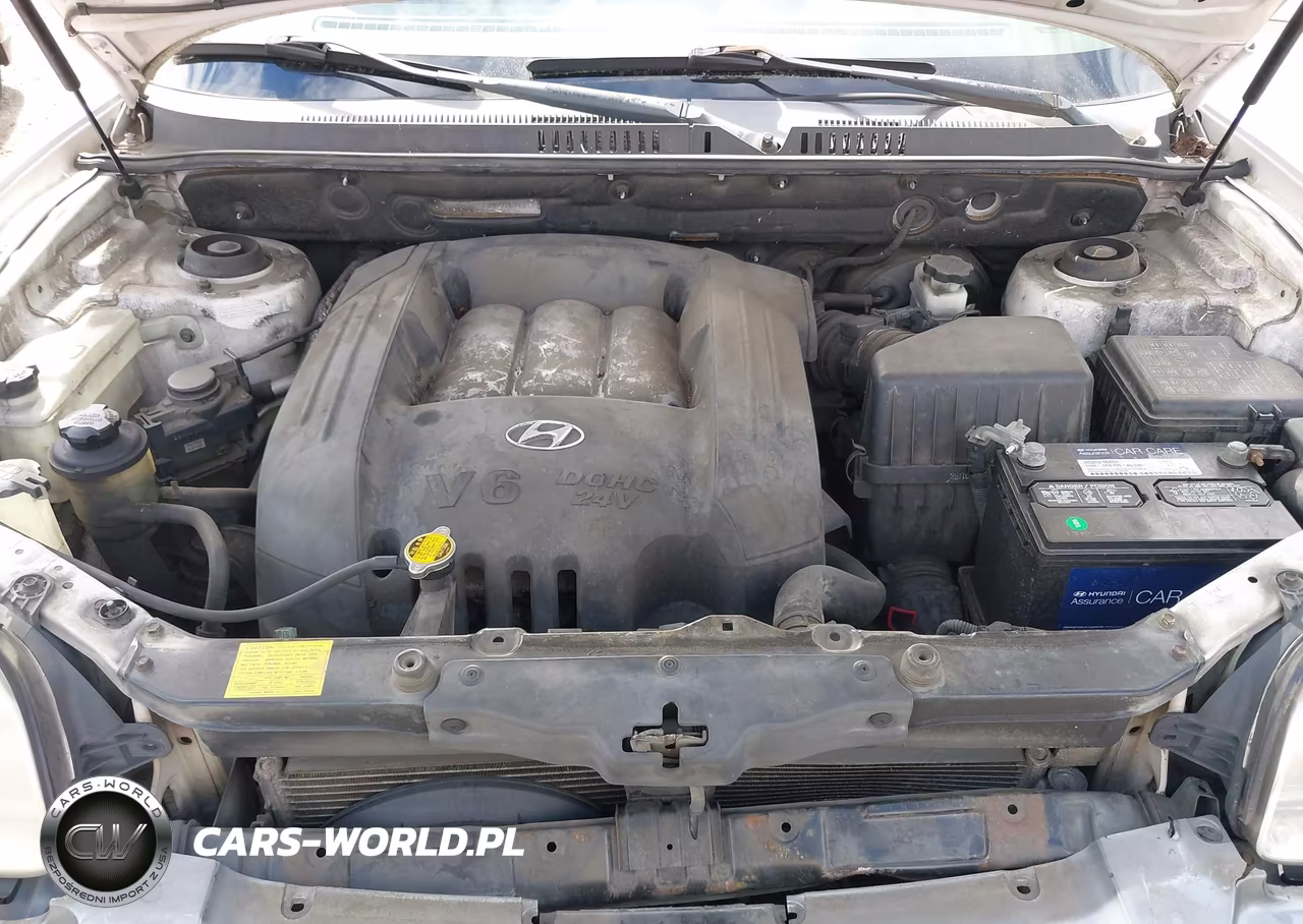 2004 Hyundai Santa Fe Gls VIN:KM8SC73D24U726749 - 10
