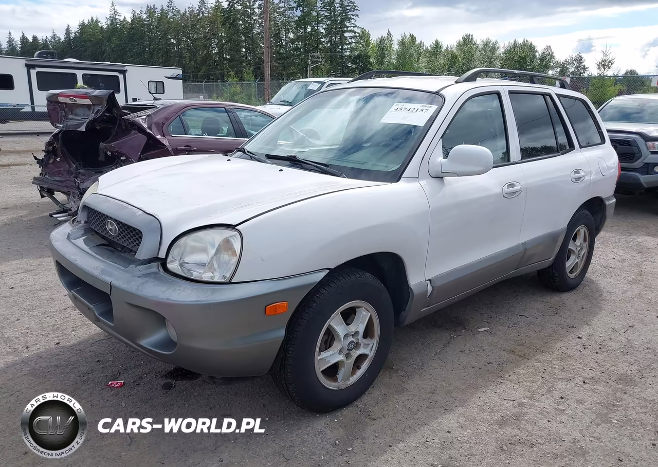 2004 Hyundai Santa Fe Gls VIN:KM8SC73D24U726749 - 2