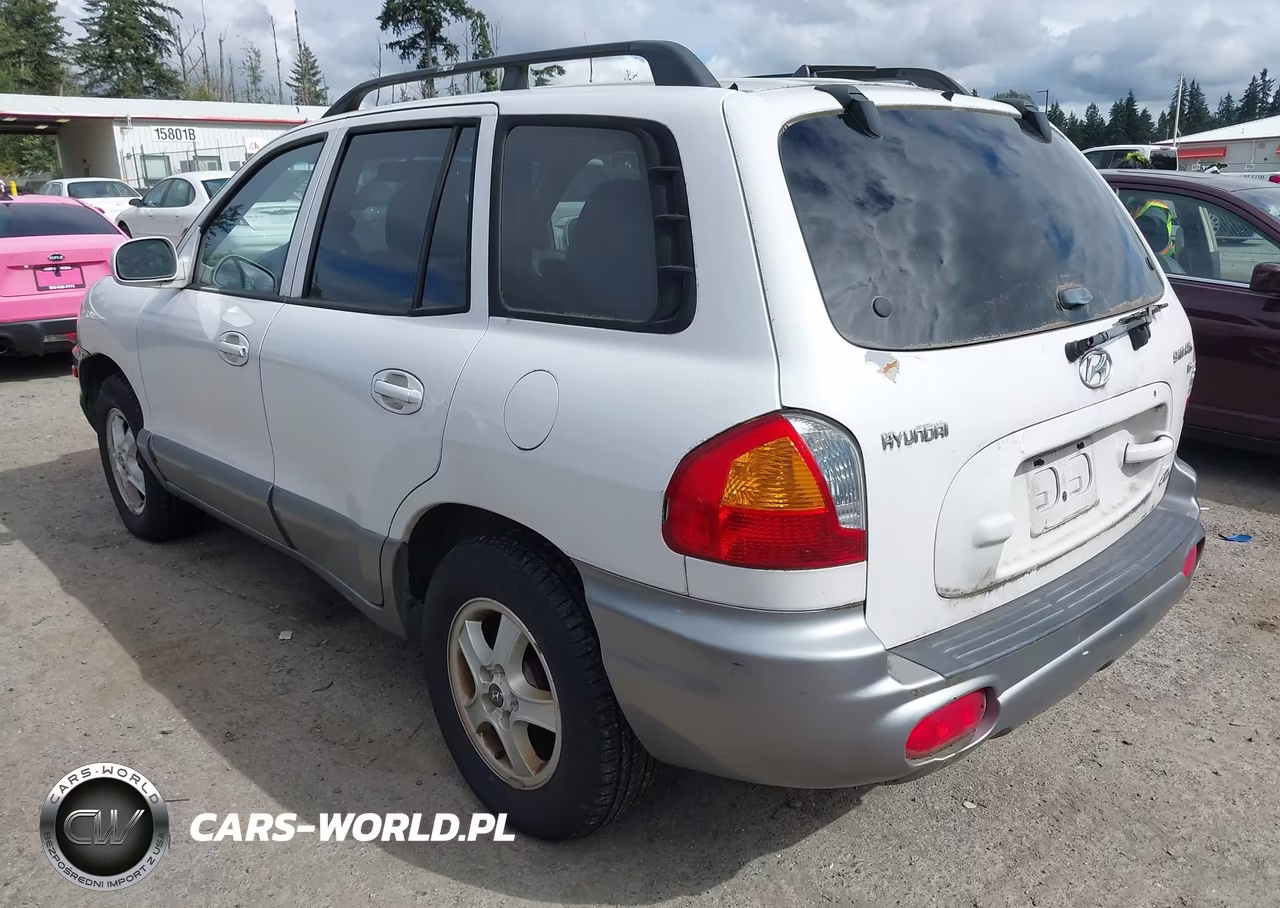 2004 Hyundai Santa Fe Gls VIN:KM8SC73D24U726749 - 3