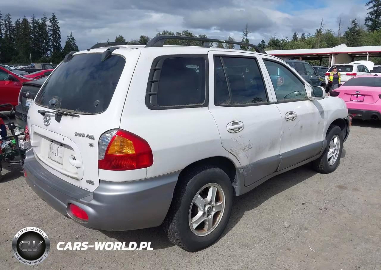2004 Hyundai Santa Fe Gls VIN:KM8SC73D24U726749 - 4