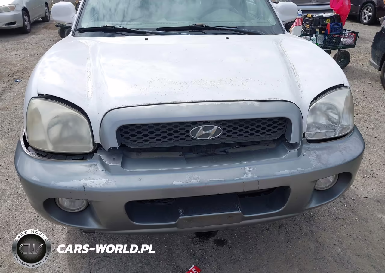 2004 Hyundai Santa Fe Gls VIN:KM8SC73D24U726749 - 6