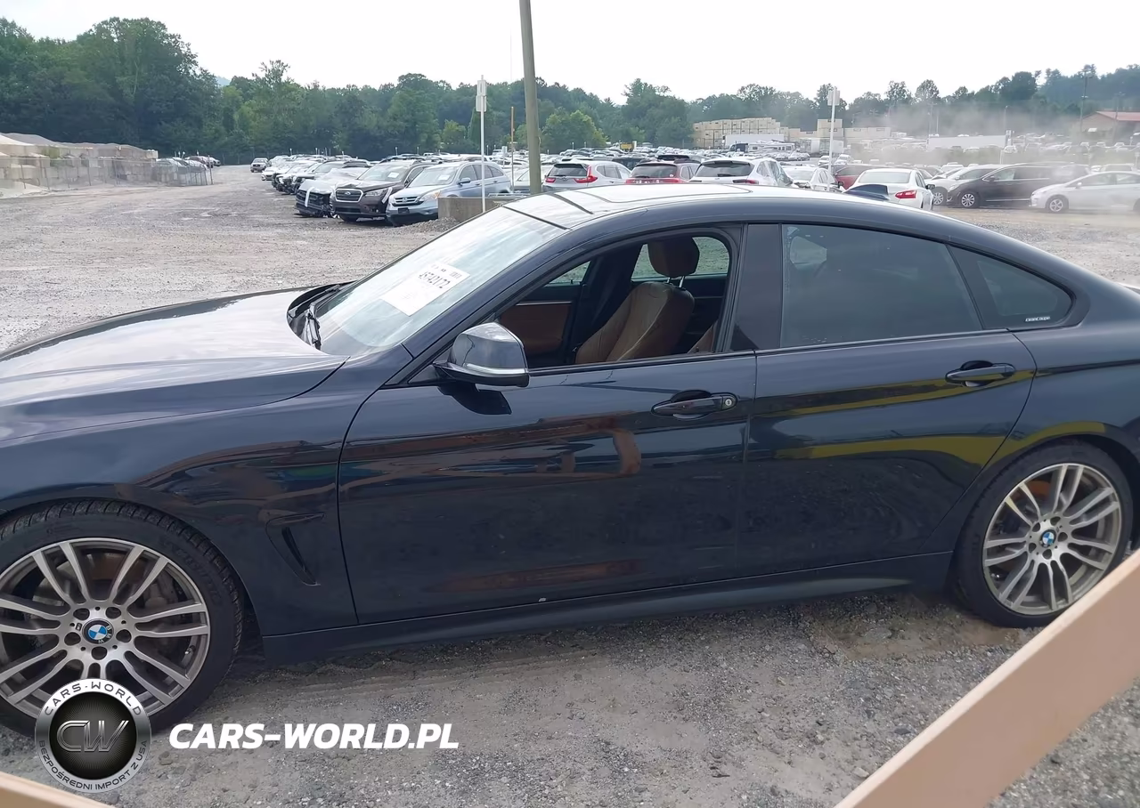 2016 BMW 428I Gran Coupe VIN:WBA4A9C53GG504874 - 14