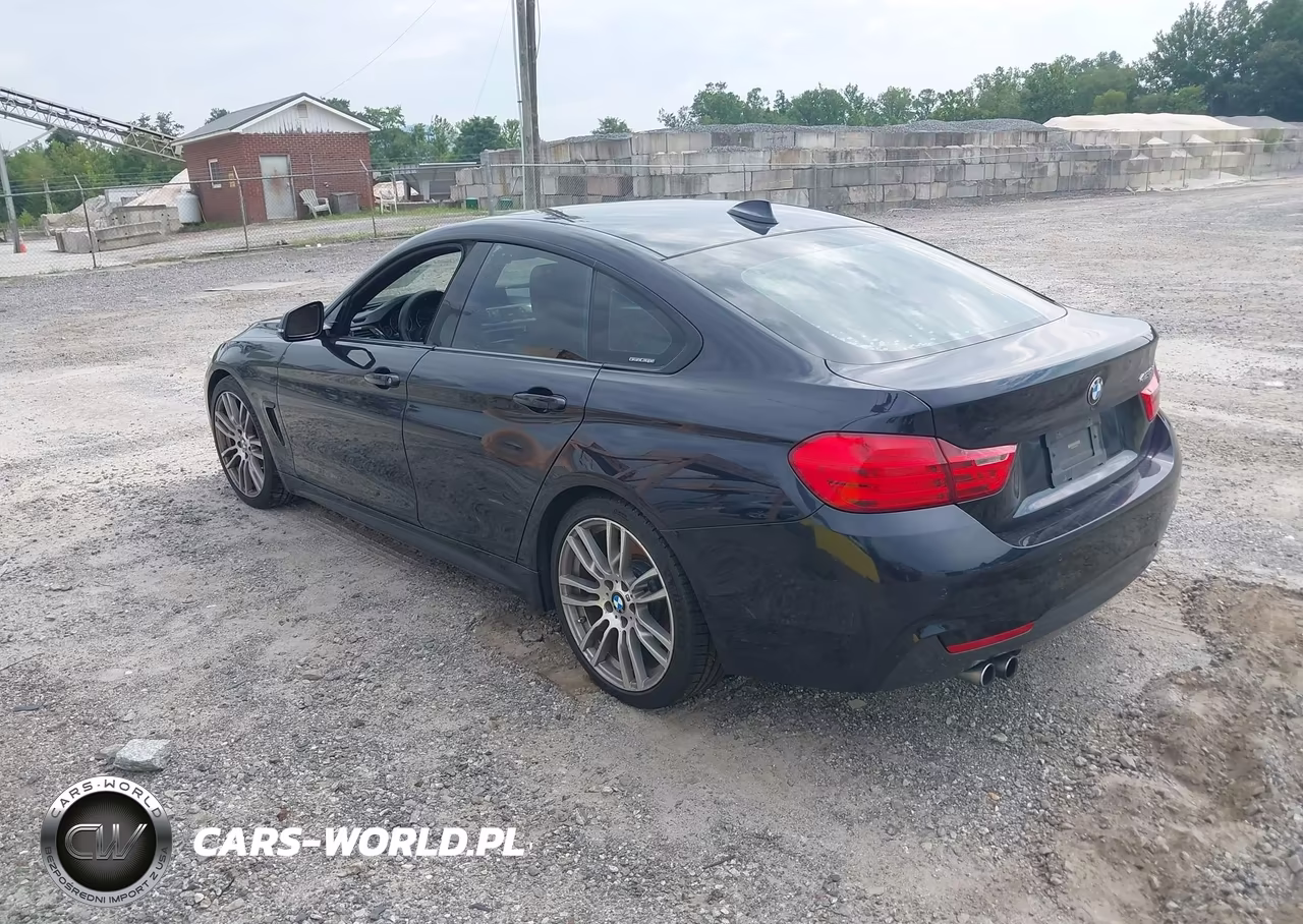 2016 BMW 428I Gran Coupe VIN:WBA4A9C53GG504874 - 3