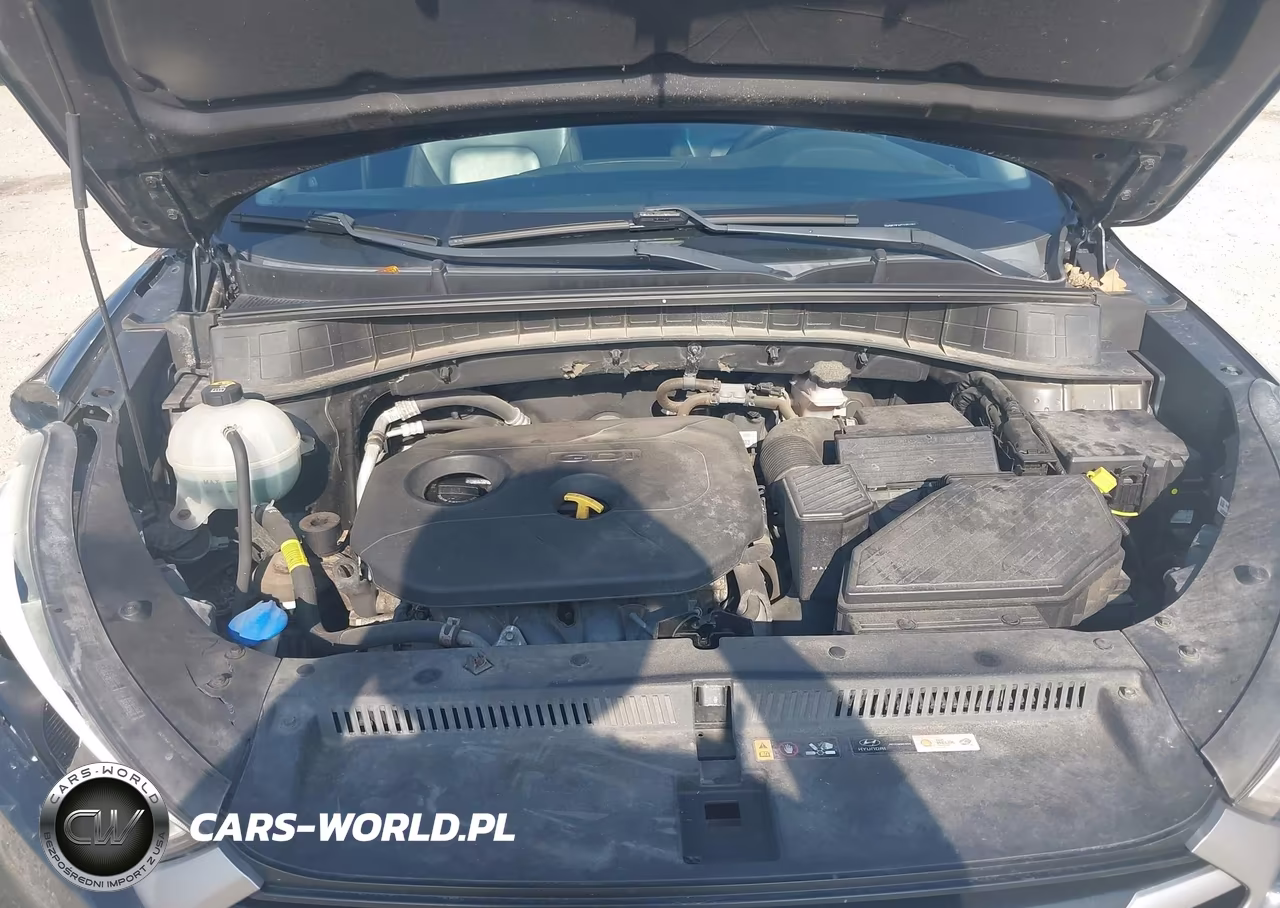 2018 Hyundai Tucson Sel Plus VIN:KM8J3CA47JU751052 - 10