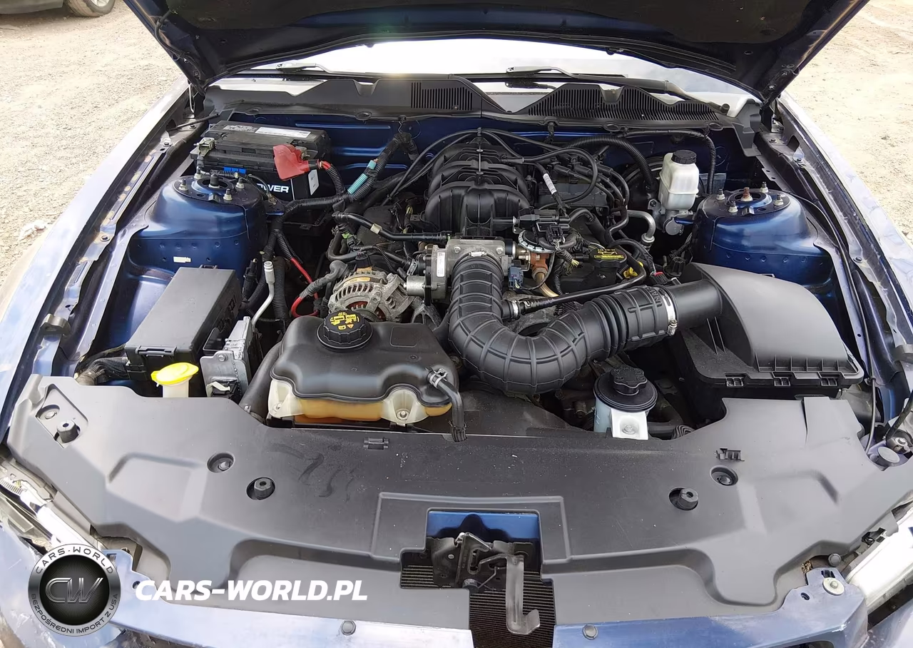 2010 Ford Mustang V6-V6 Premium VIN:1ZVBP8AN0A5144632 - 10