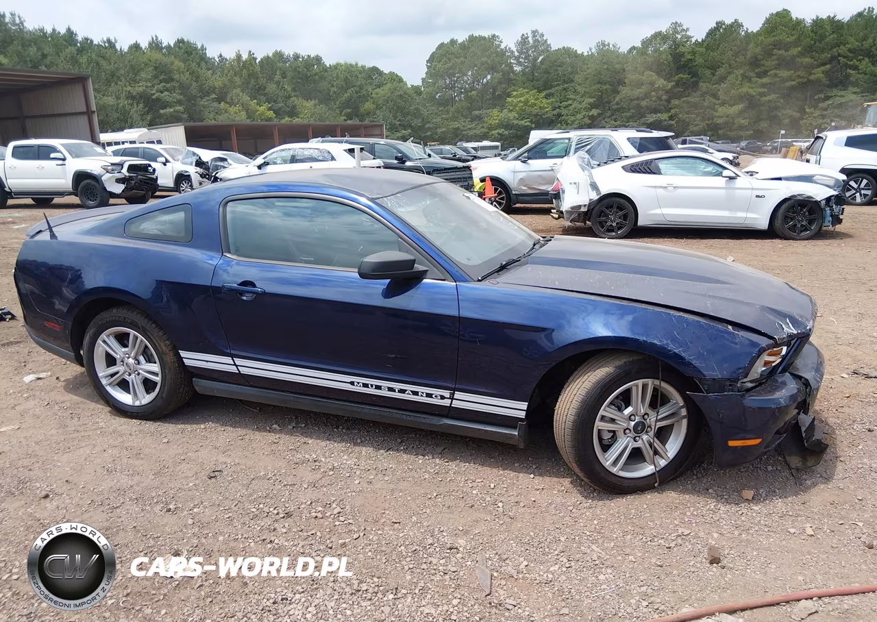 2010 Ford Mustang V6-V6 Premium VIN:1ZVBP8AN0A5144632 - 14