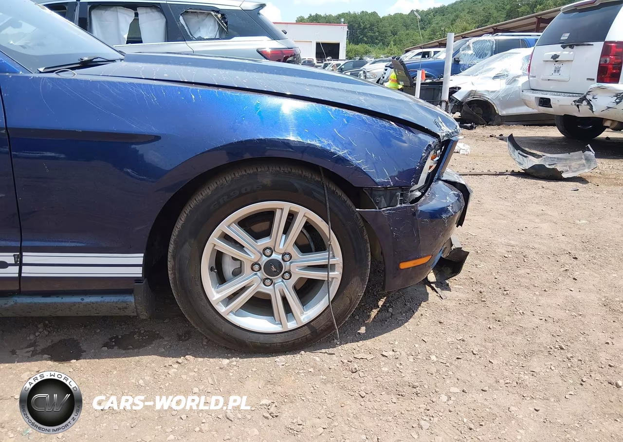 2010 Ford Mustang V6-V6 Premium VIN:1ZVBP8AN0A5144632 - 21