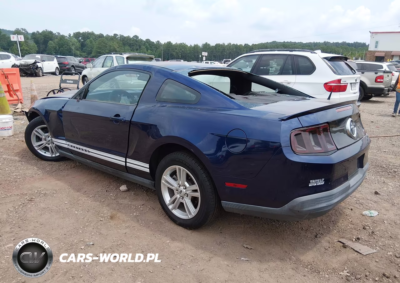 2010 Ford Mustang V6-V6 Premium VIN:1ZVBP8AN0A5144632 - 3