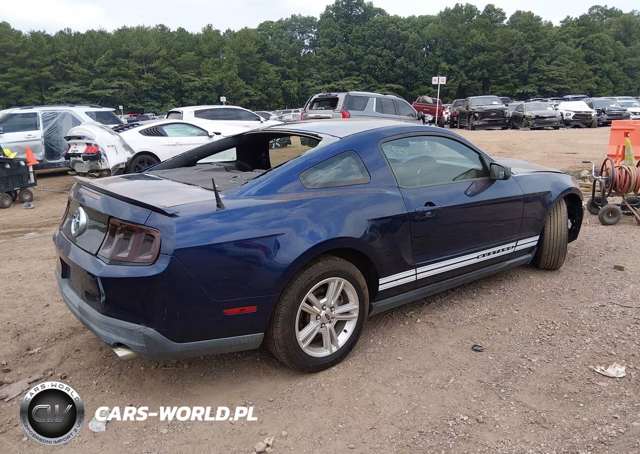2010 Ford Mustang V6-V6 Premium VIN:1ZVBP8AN0A5144632 - 4