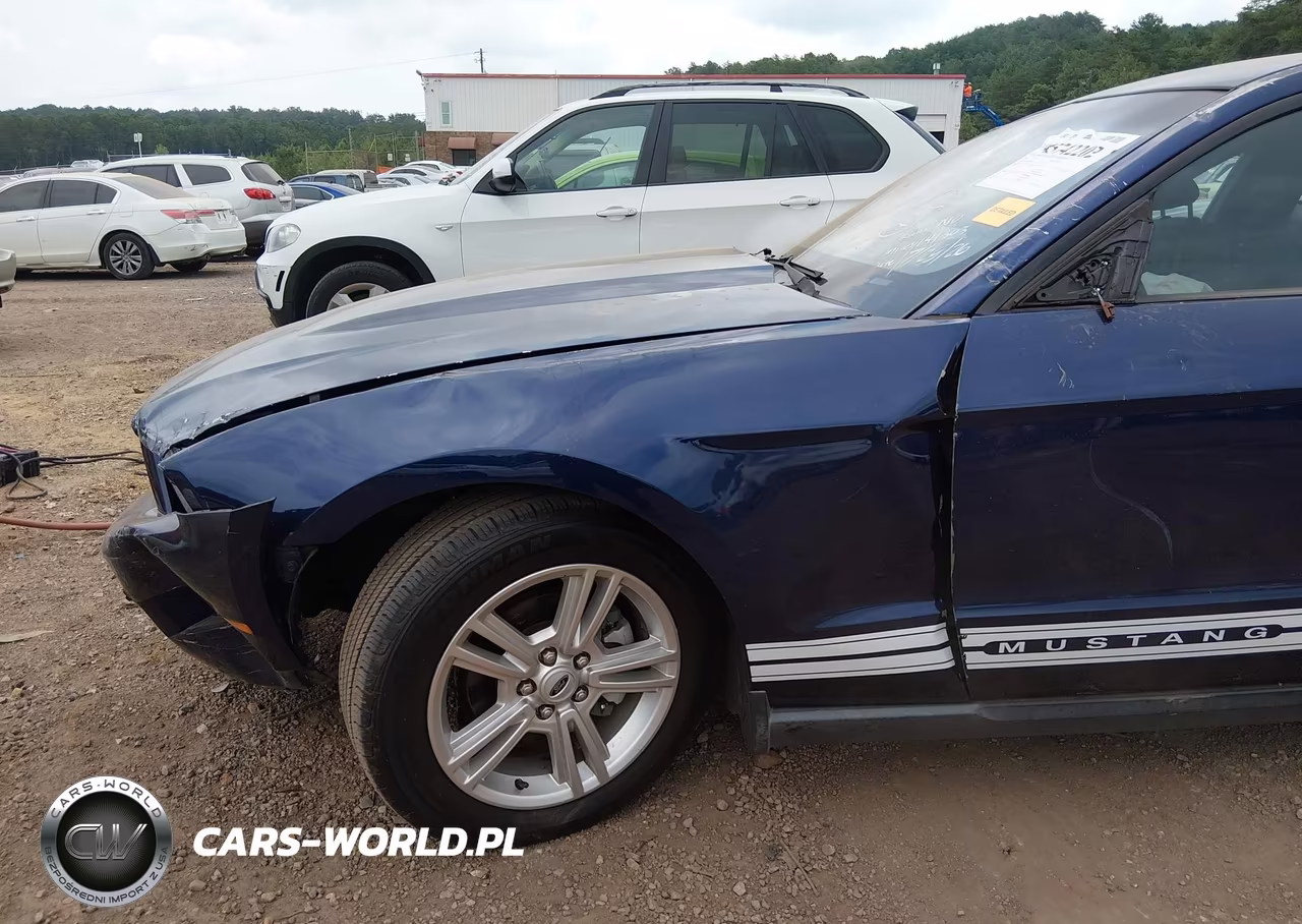 2010 Ford Mustang V6-V6 Premium VIN:1ZVBP8AN0A5144632 - 6