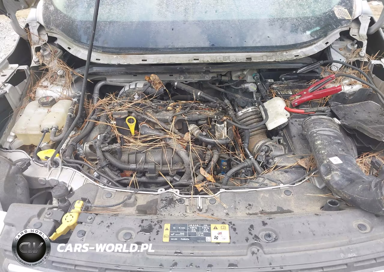 2014 Ford Escape Se VIN:1FMCU0GX0EUB11132 - 6