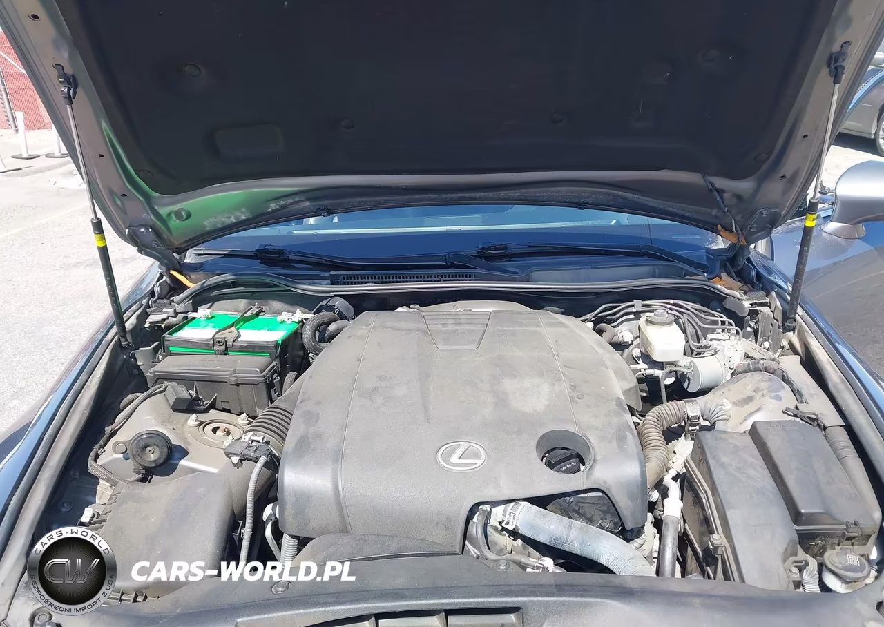 2015 Lexus Is 250 VIN:JTHBF1D24F5055859 - 10