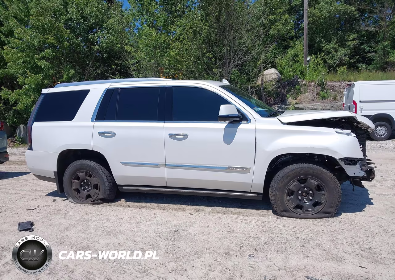 2017 Cadillac Escalade Premium Luxury VIN:1GYS4CKJ1HR290061 - 13