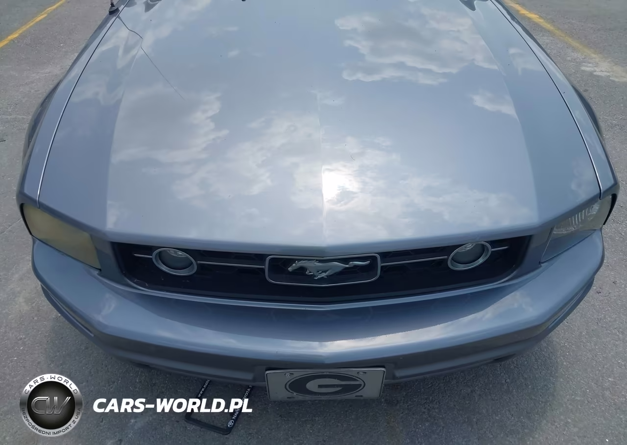 2006 Ford Mustang V6 VIN:1ZVFT84N565259579 - 6