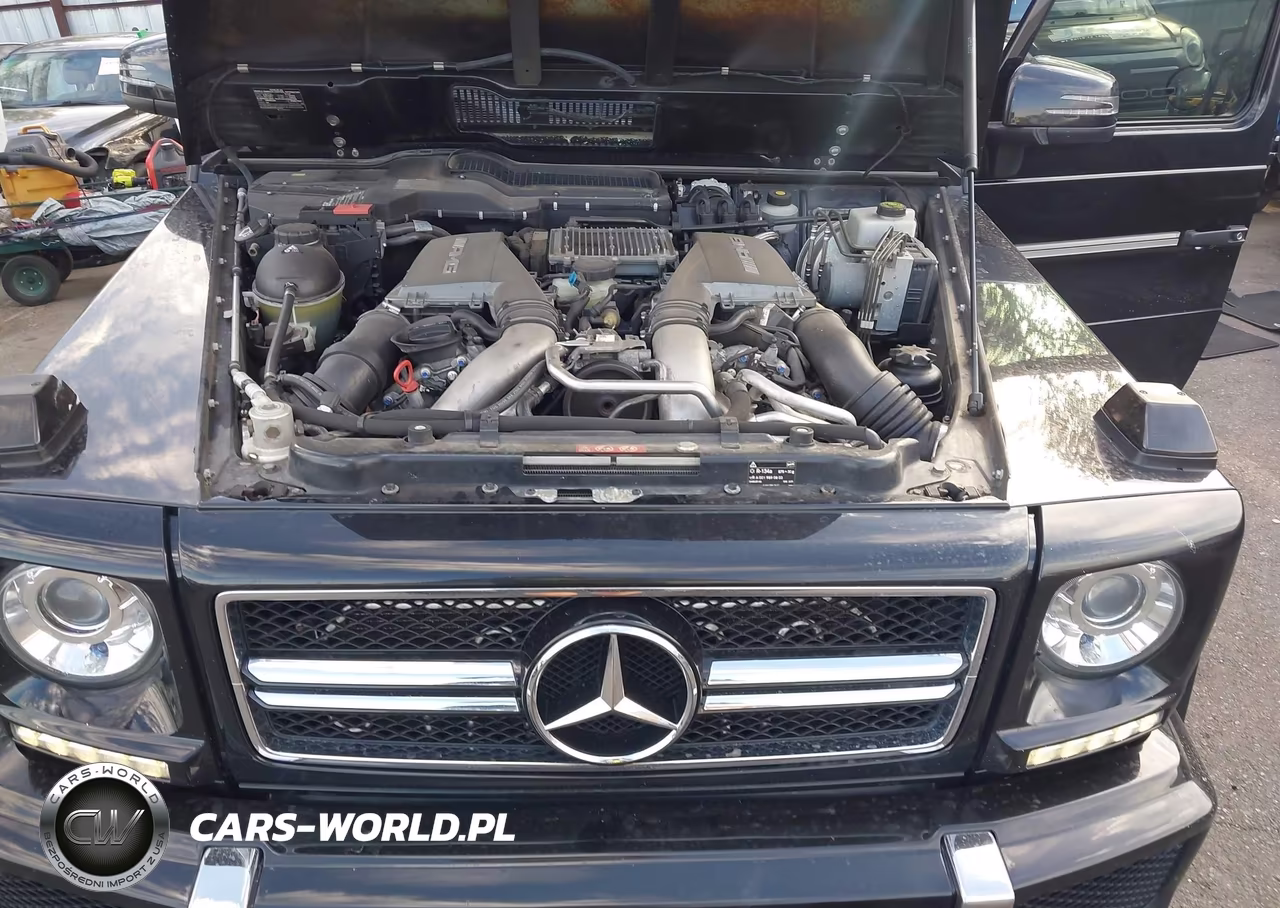 2013 Mercedes-Benz G VIN:WDCYC7DF3DX208365 - 10