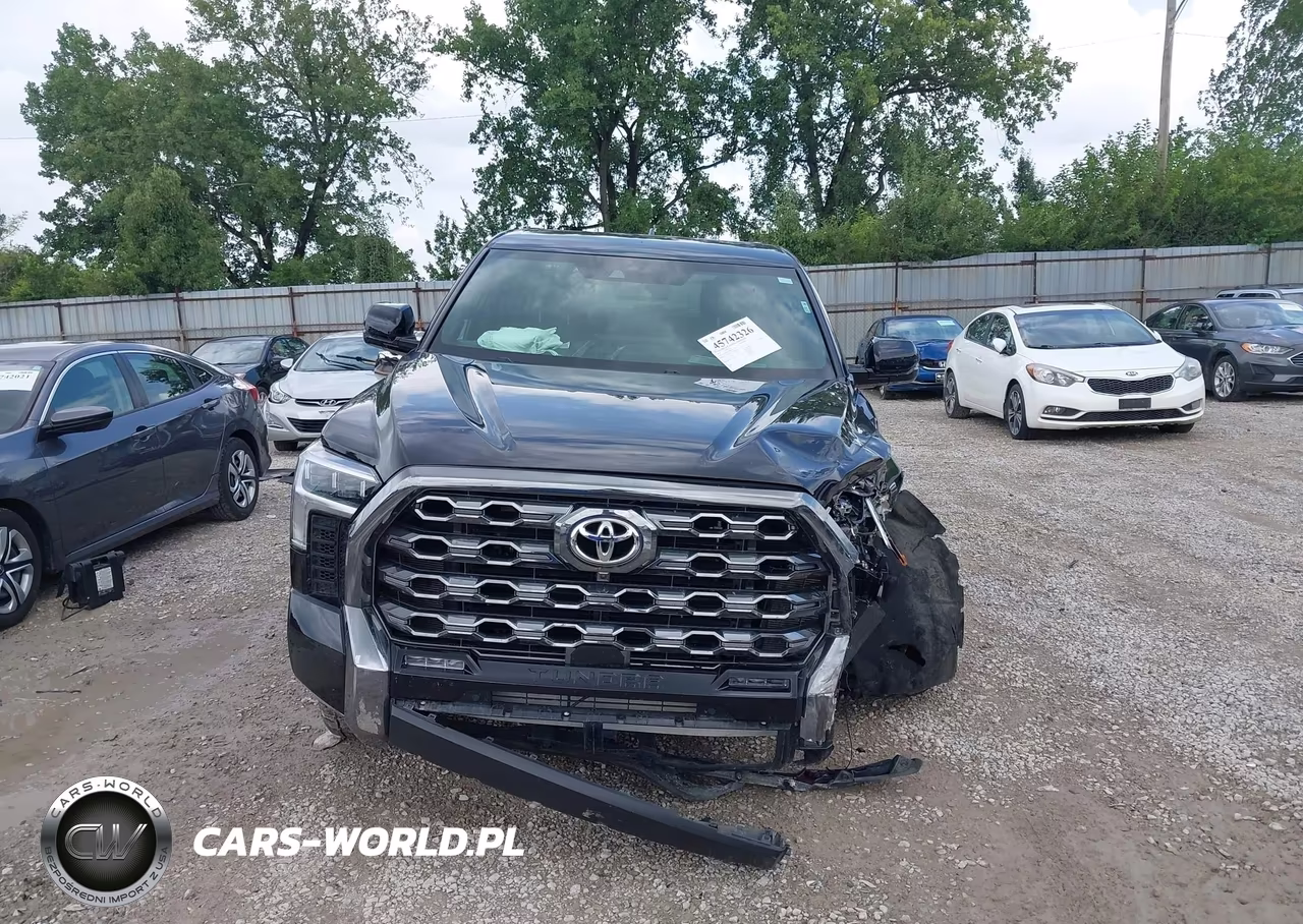 2025 Toyota Tundra Platinum VIN:5TFNA5DB3SX293219 - 11