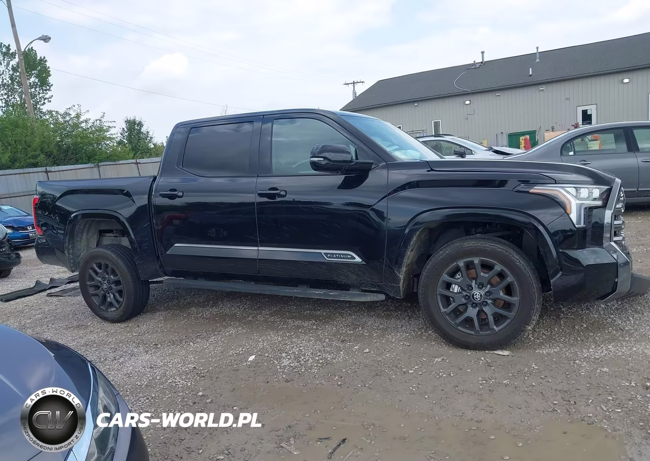 2025 Toyota Tundra Platinum VIN:5TFNA5DB3SX293219 - 12