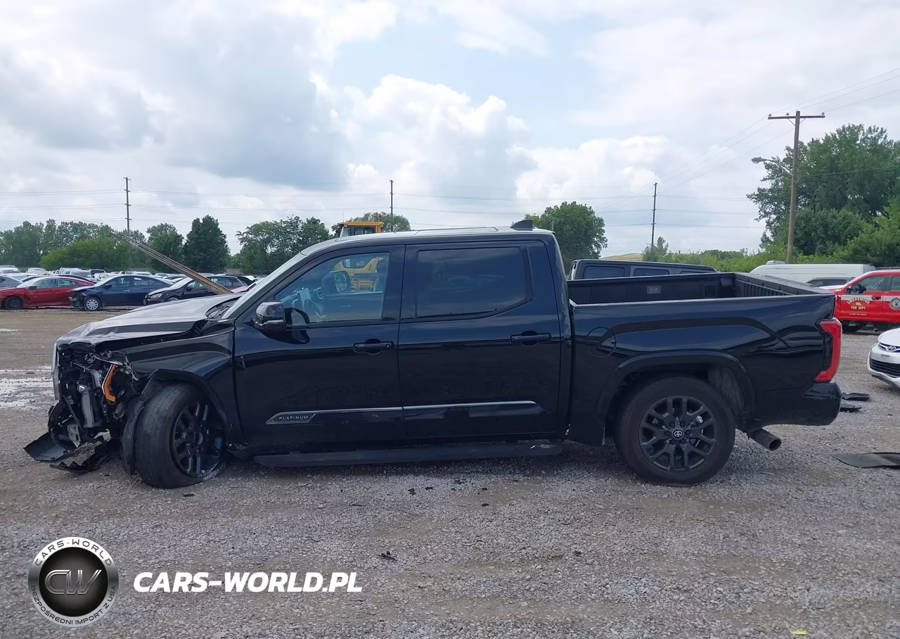 2025 Toyota Tundra Platinum VIN:5TFNA5DB3SX293219 - 13