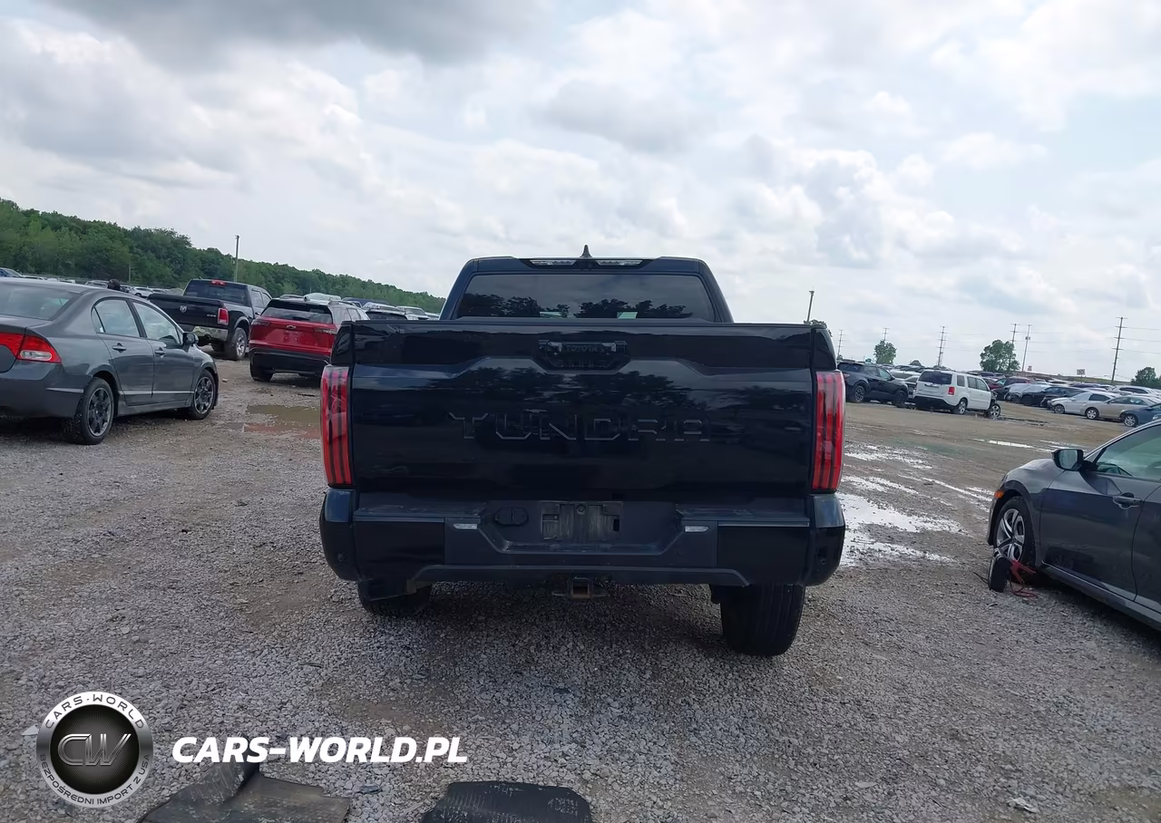 2025 Toyota Tundra Platinum VIN:5TFNA5DB3SX293219 - 15