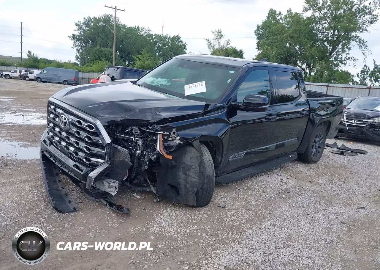 2025 Toyota Tundra Platinum VIN:5TFNA5DB3SX293219 - 2