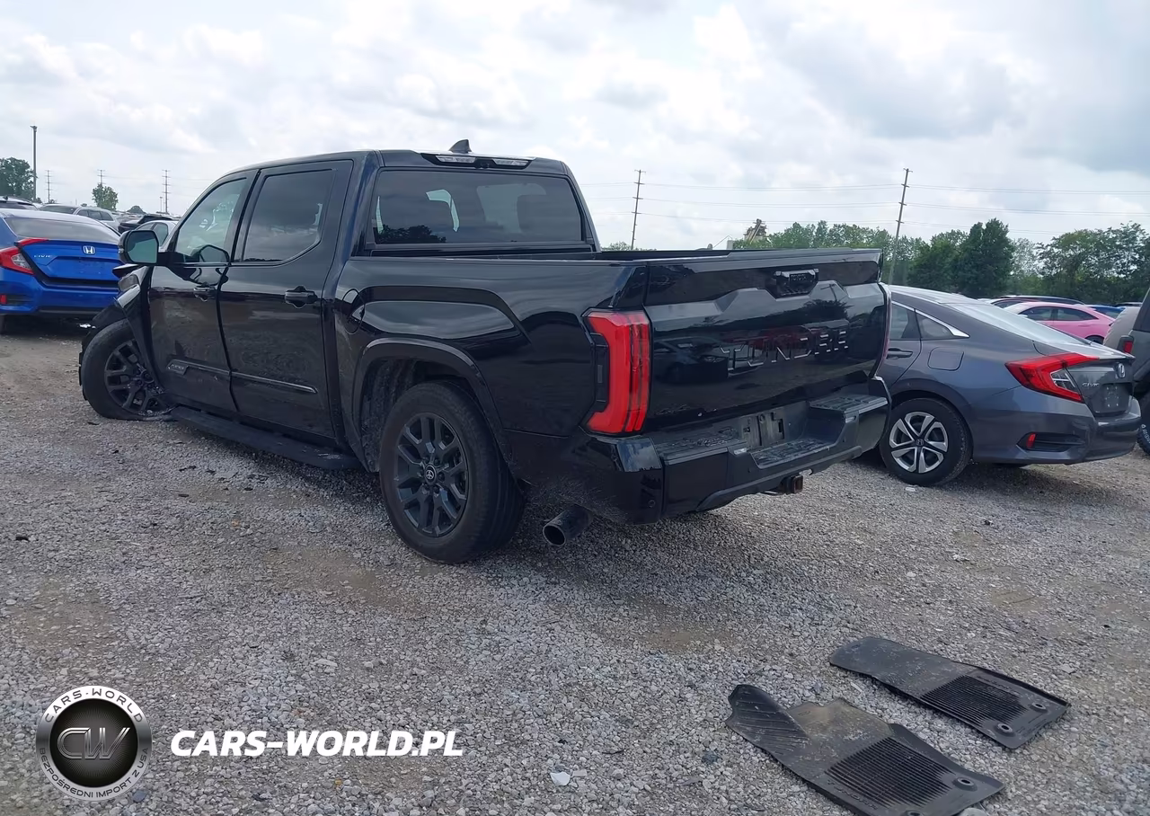 2025 Toyota Tundra Platinum VIN:5TFNA5DB3SX293219 - 3