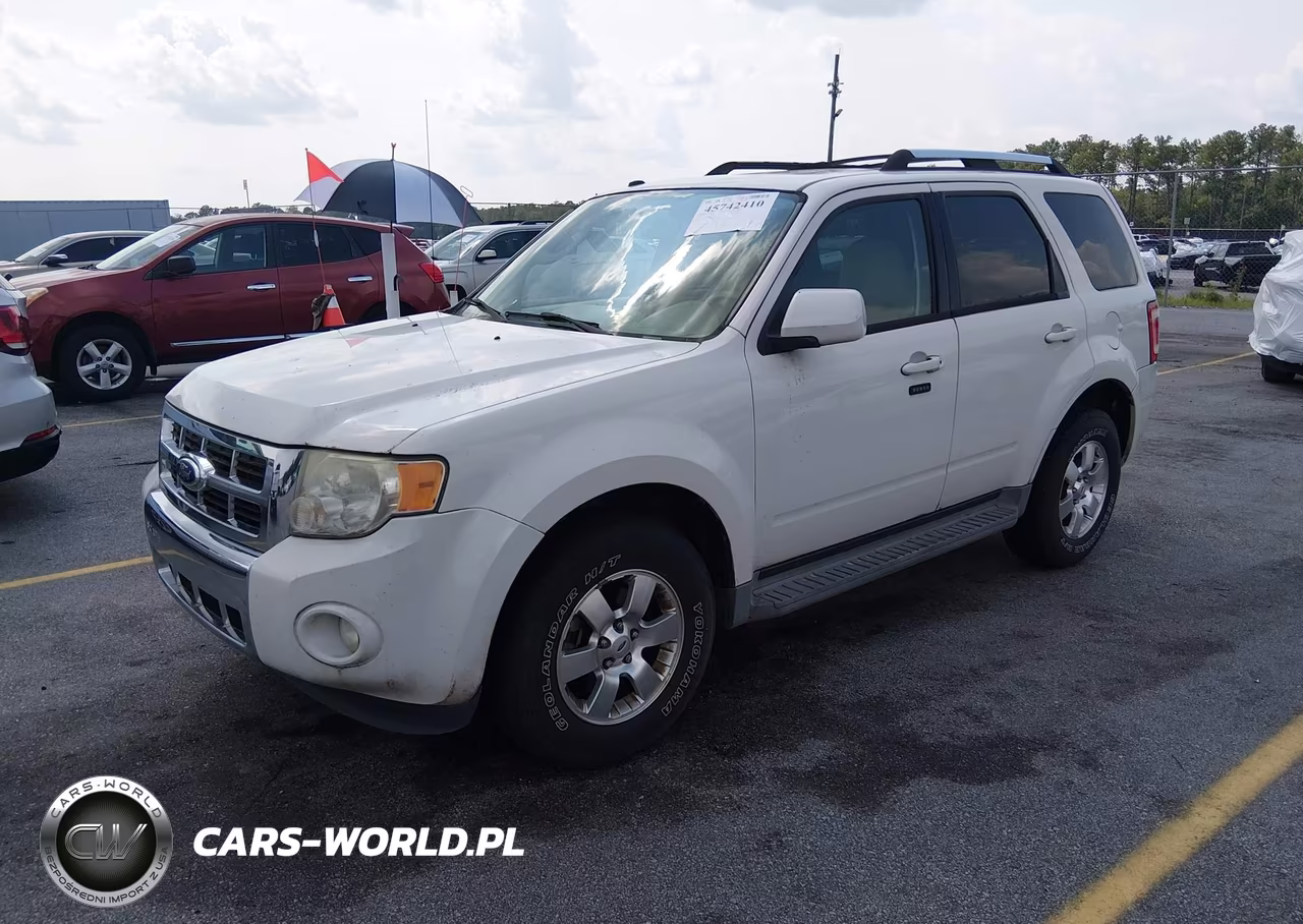 2011 Ford Escape Limited VIN:1FMCU0EG6BKB51029 - 2