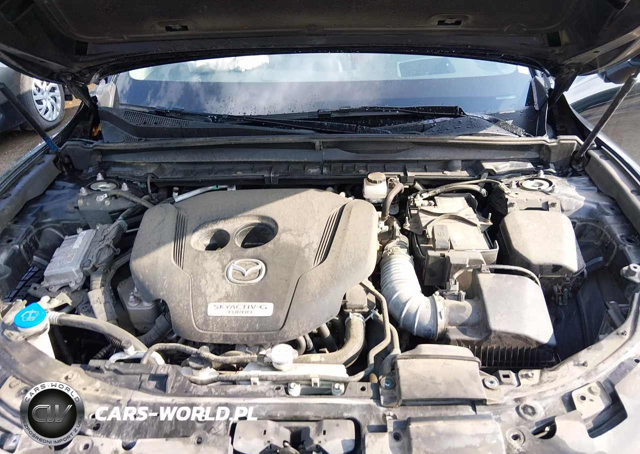 2024 Mazda Cx-50 2.5 Turbo Premium Plus VIN:7MMVABEY3RN165862 - 10