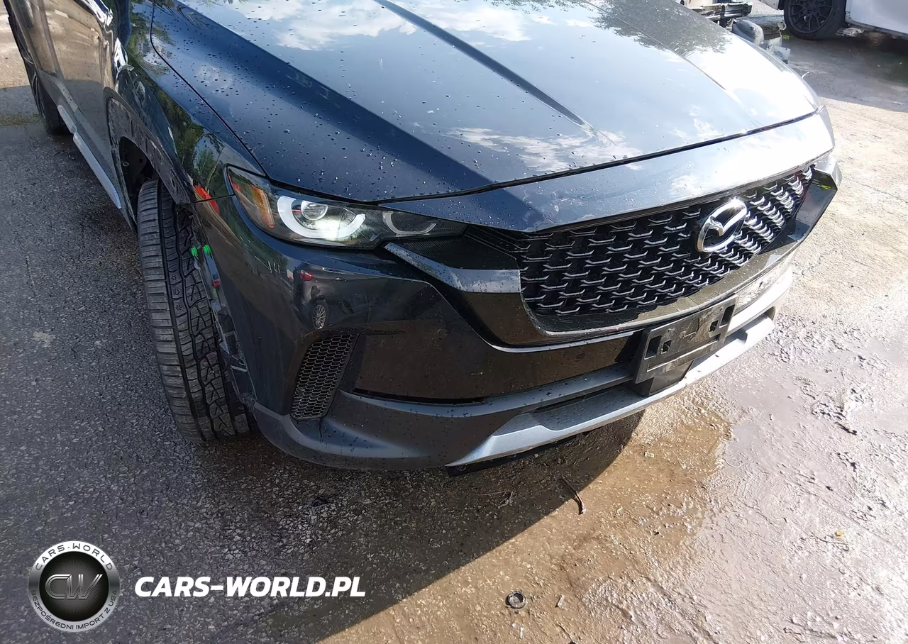 2024 Mazda Cx-50 2.5 Turbo Premium Plus VIN:7MMVABEY3RN165862 - 19