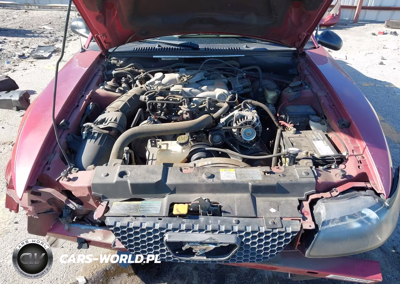 2004 Ford Mustang VIN:1FAFP44634F133159 - 10