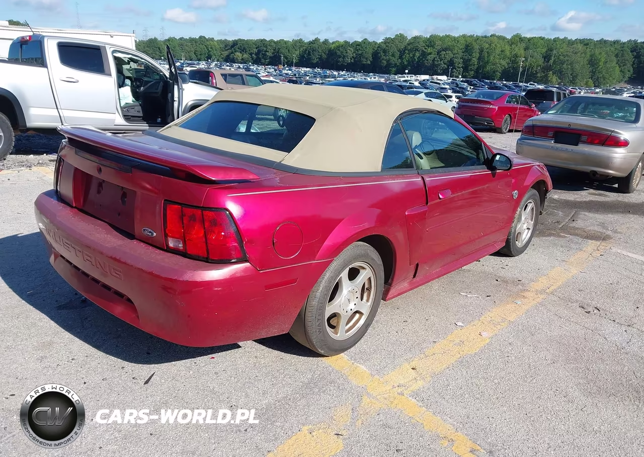 2004 Ford Mustang VIN:1FAFP44634F133159 - 4