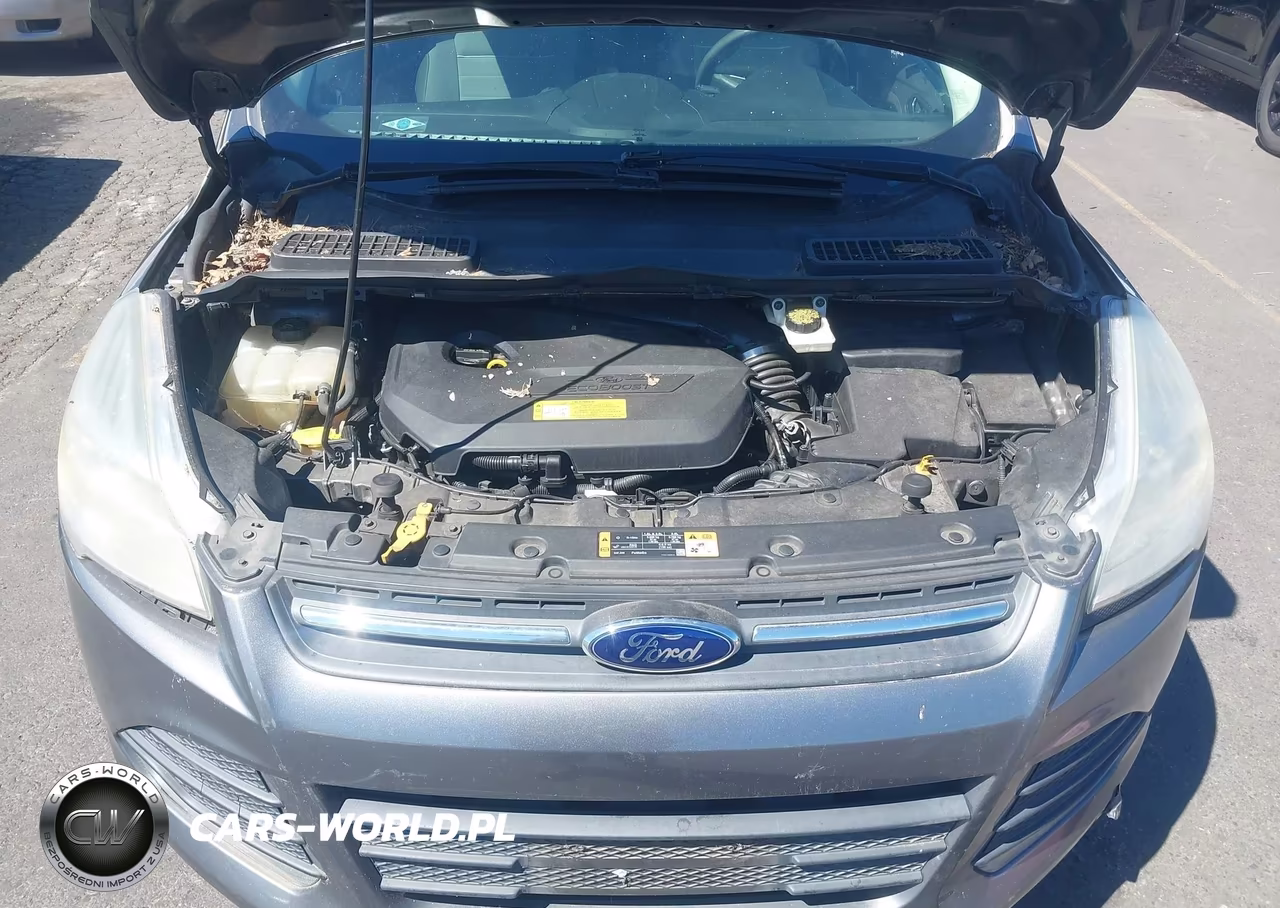 2014 Ford Escape Se VIN:1FMCU0GX0EUB23765 - 10