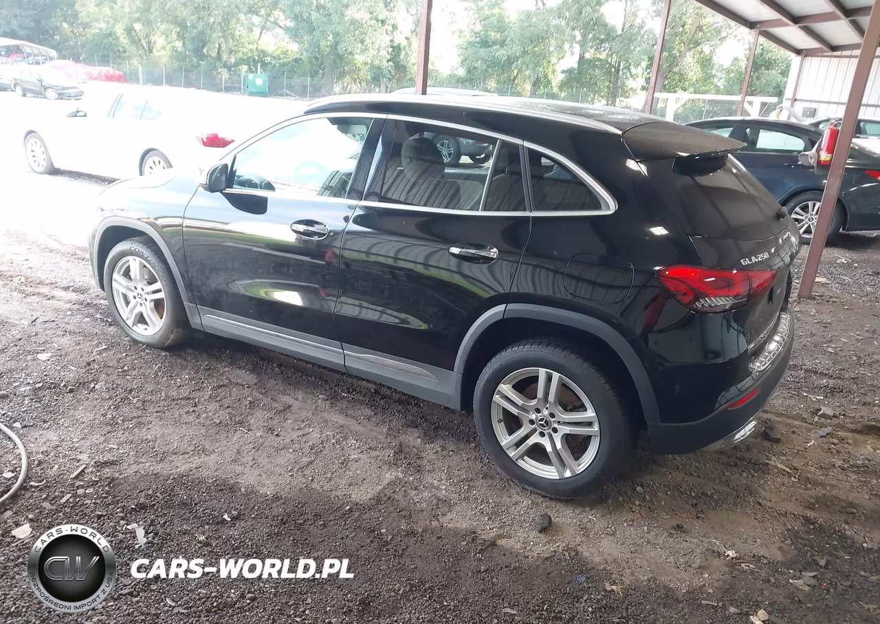 2021 Mercedes-Benz Gla 250 VIN:W1N4N4GB3MJ239858 - 3