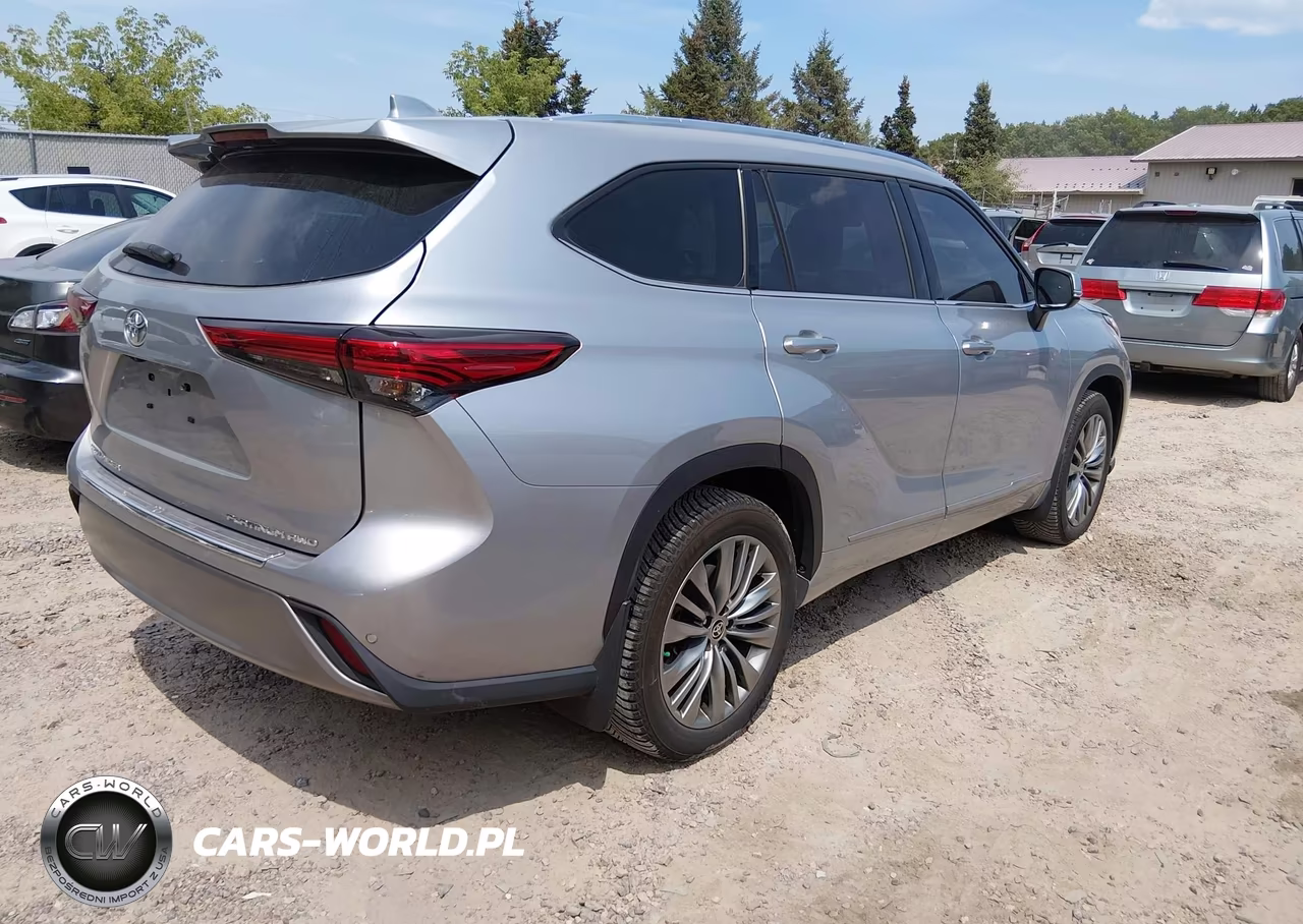 2020 Toyota Highlander Platinum VIN:5TDFZRBH5LS052281 - 4