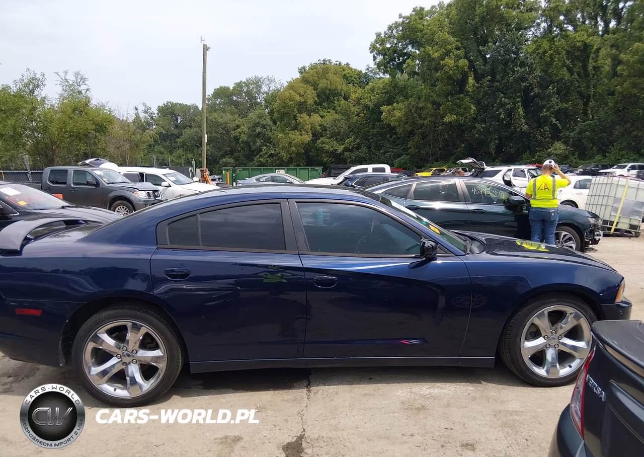 2013 Dodge Charger Sxt VIN:2C3CDXHG5DH738295 - 13