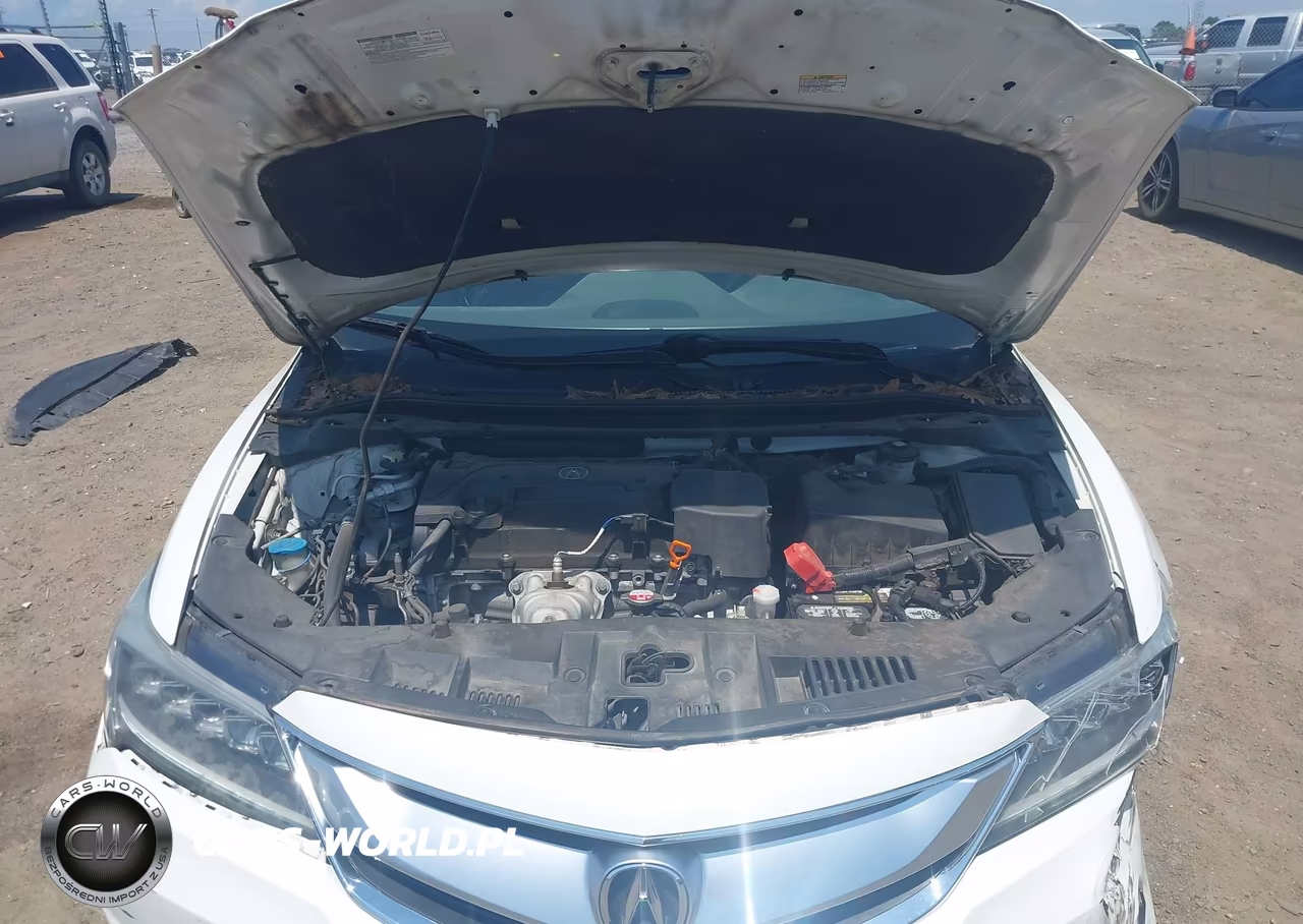 2018 Acura Ilx Premium Package-Technology Plus Package VIN:19UDE2F7XJA000183 - 10