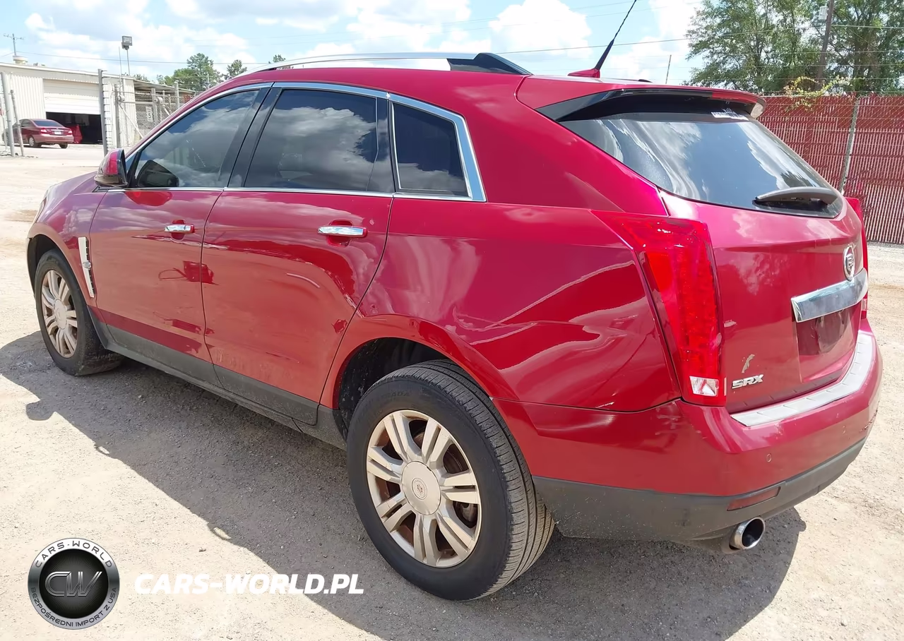 2010 Cadillac Srx Luxury Collection VIN:3GYFNAEY9AS614727 - 3