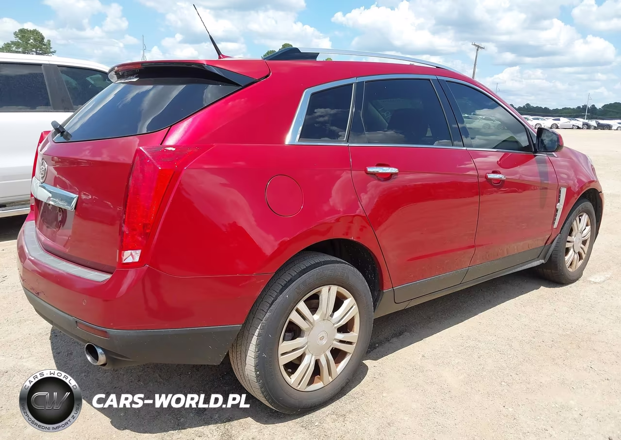 2010 Cadillac Srx Luxury Collection VIN:3GYFNAEY9AS614727 - 4