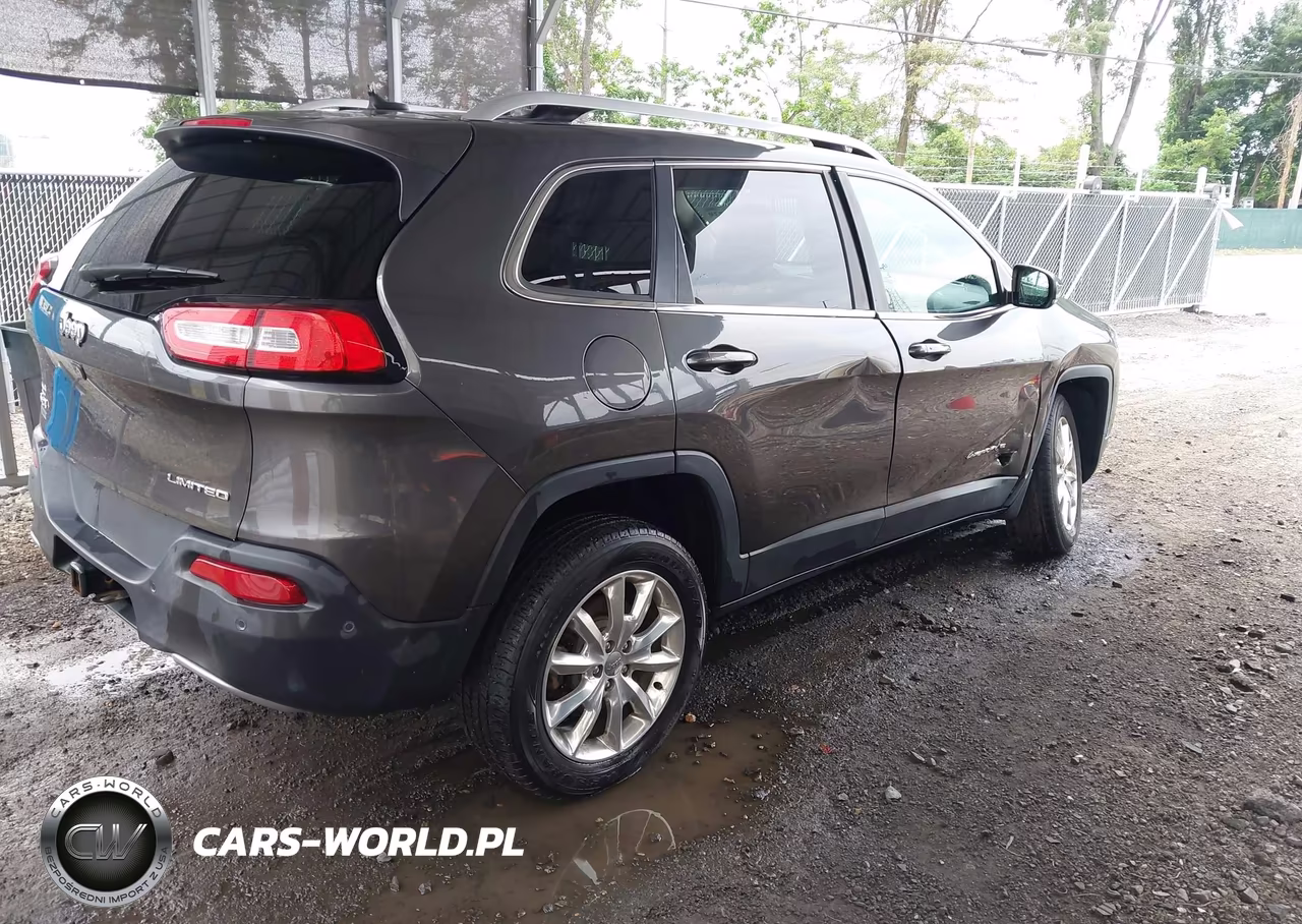 2014 Jeep Cherokee Limited VIN:1C4PJMDS8EW211515 - 4