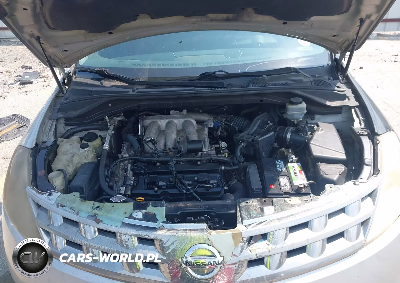 2004 Nissan Murano Sl VIN:JN8AZ08TX4W216843 - 10