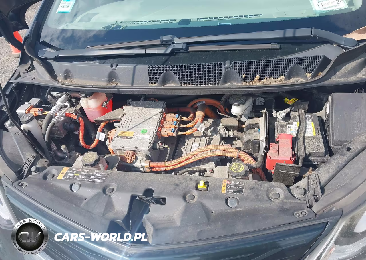 2018 Chevrolet Bolt Ev Premier VIN:1G1FX6S02J4121038 - 10