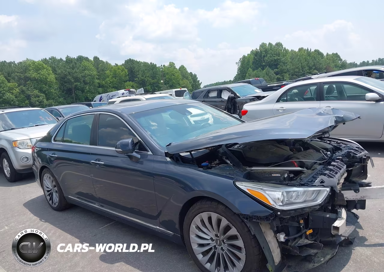 2017 Genesis G90 5.0 Ultimate VIN:KMHG54JH1HU024531 - 13