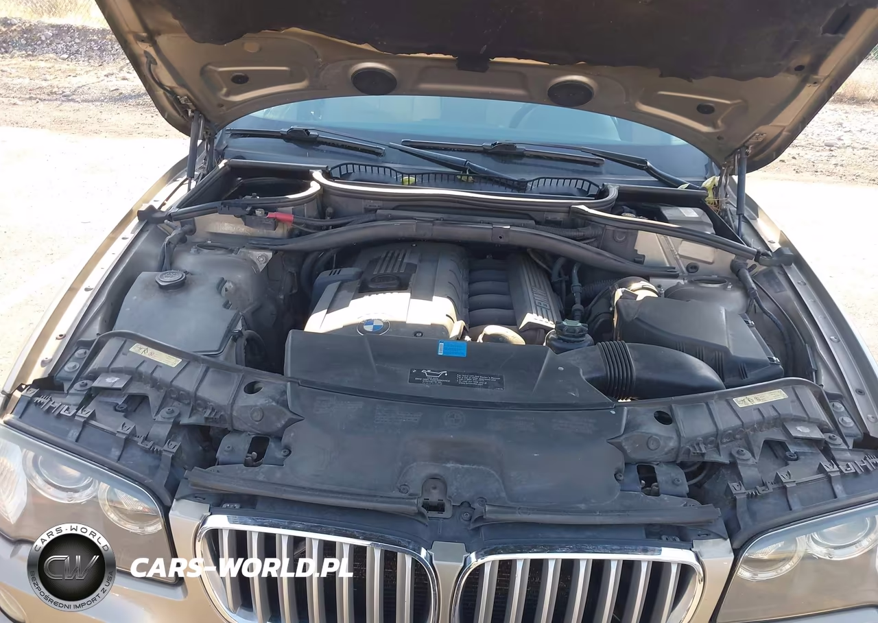 2007 BMW X3 3.0Si VIN:WBXPC93487WF06939 - 10
