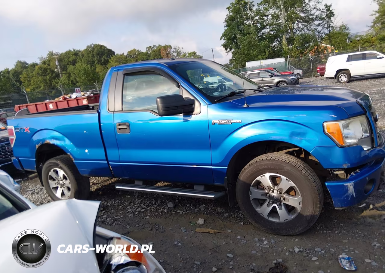 2013 Ford F-150 Stx VIN:1FTMF1EF0DKD63833 - 13