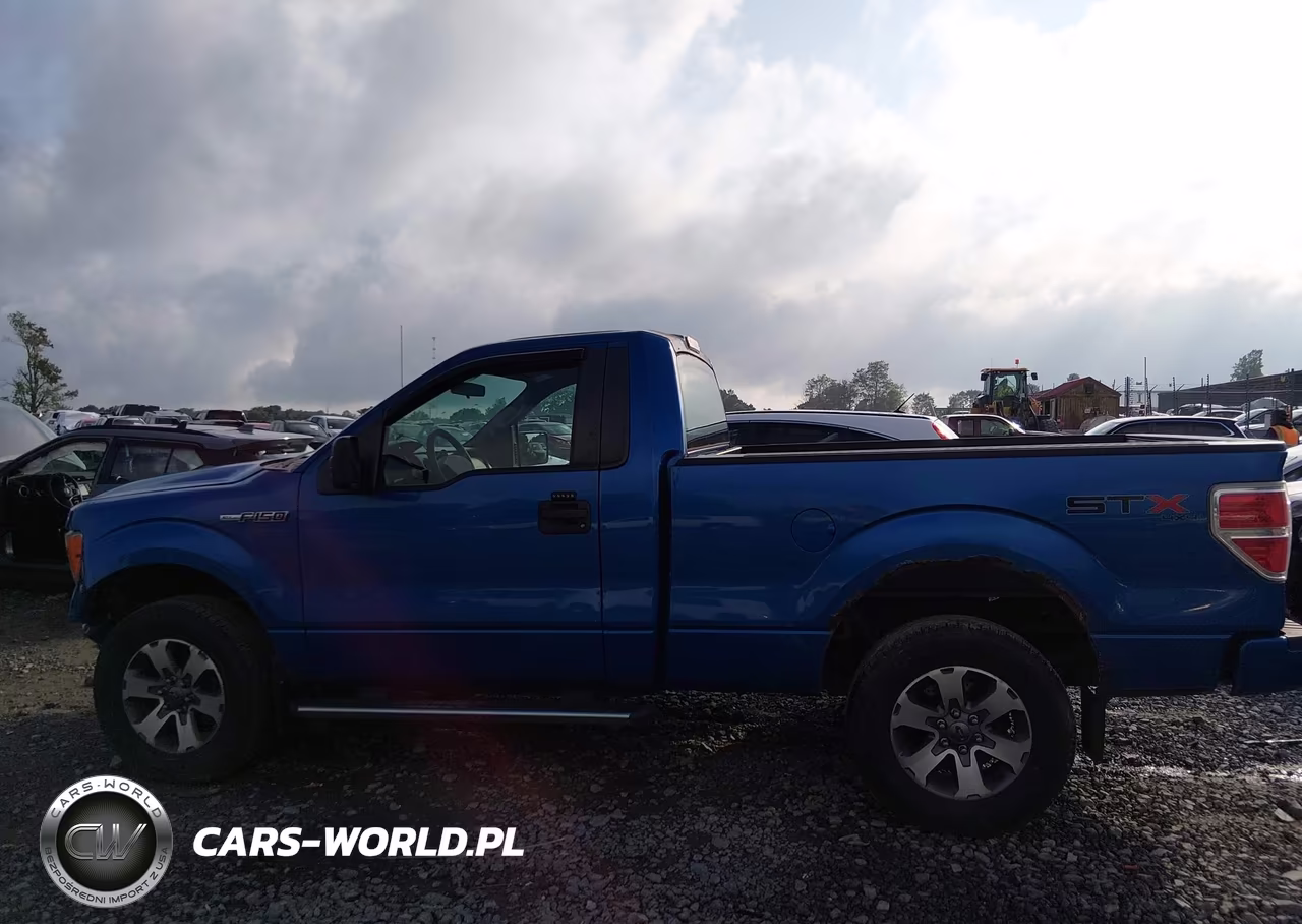 2013 Ford F-150 Stx VIN:1FTMF1EF0DKD63833 - 14