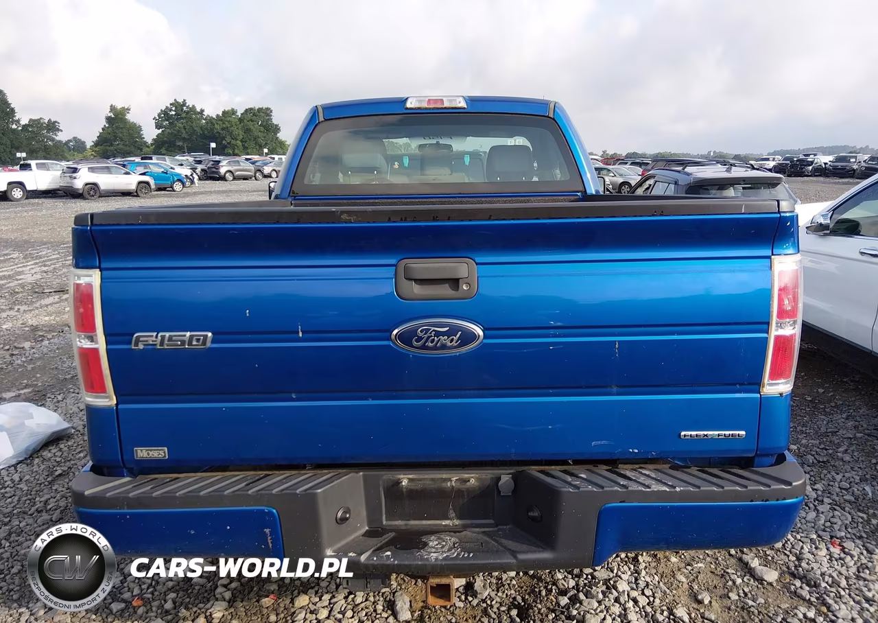 2013 Ford F-150 Stx VIN:1FTMF1EF0DKD63833 - 16