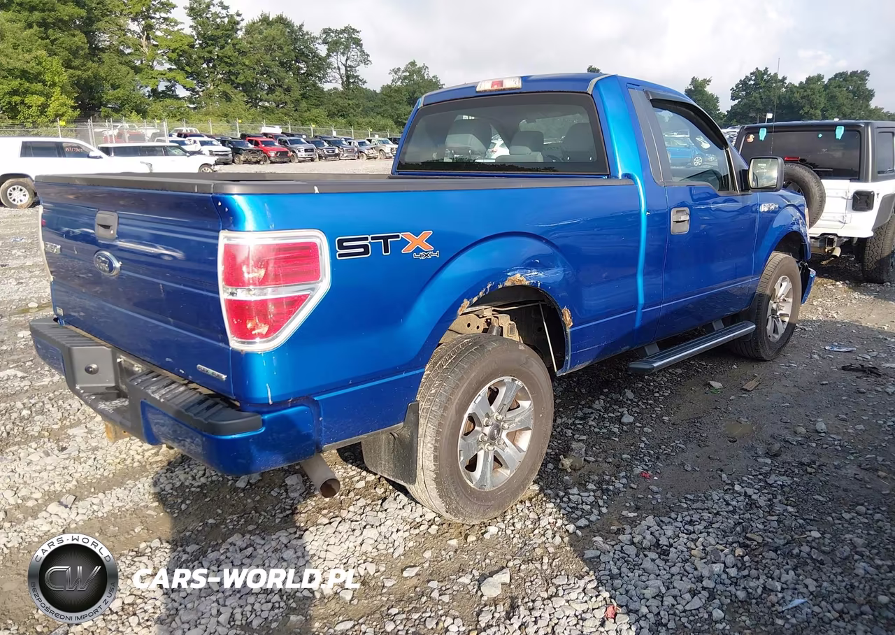 2013 Ford F-150 Stx VIN:1FTMF1EF0DKD63833 - 4
