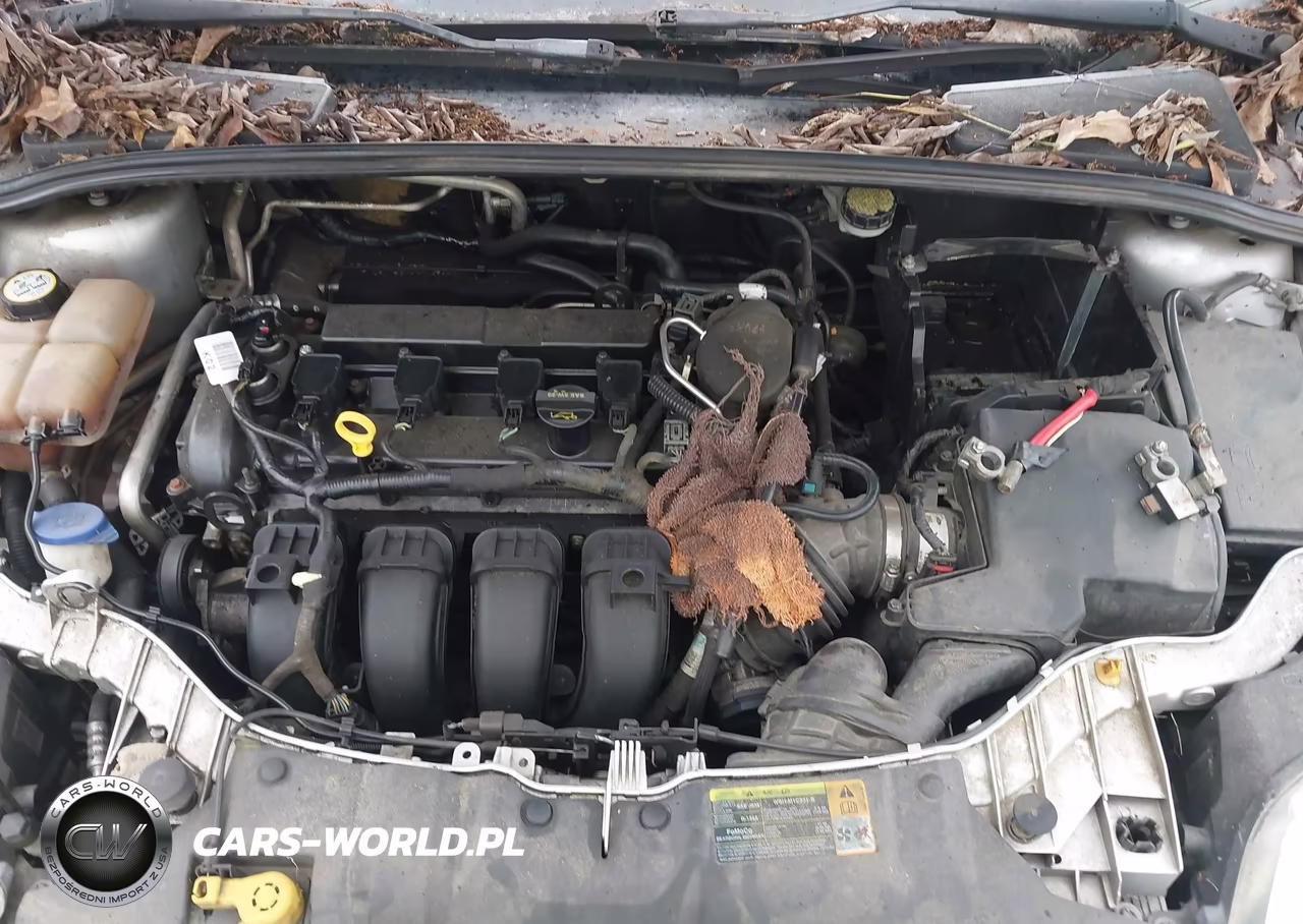 2012 Ford Focus Se VIN:1FAHP3F29CL193721 - 10