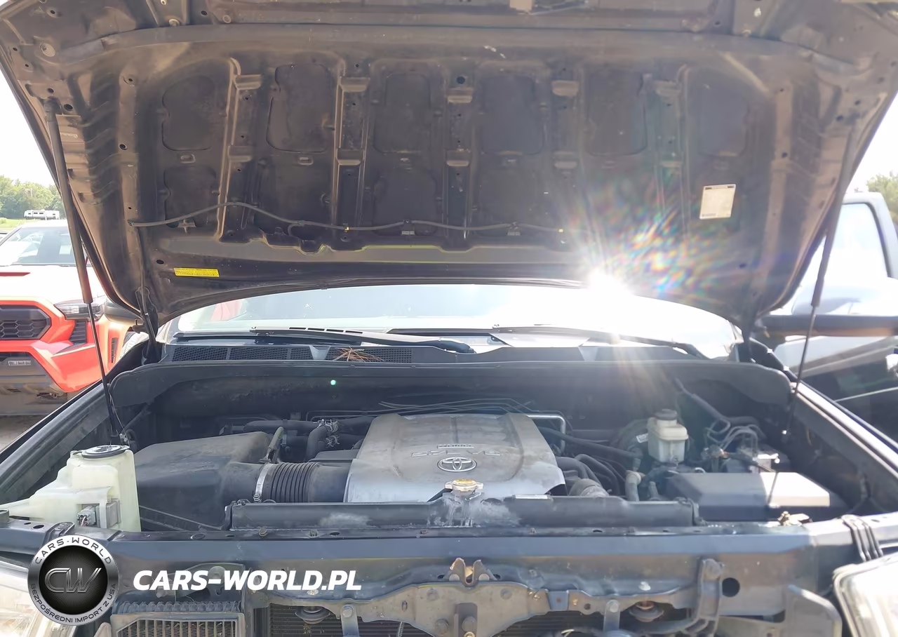 2010 Toyota Sequoia Platinum 5.7L V8 VIN:5TDYY5G11AS023258 - 10